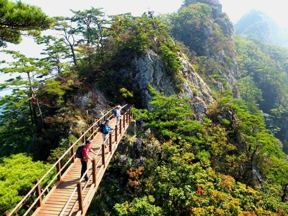 Chamjoeun Pension Chechon Экстерьер фото